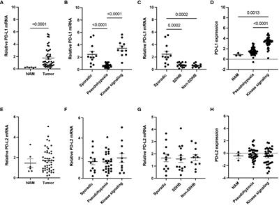 PD-L1 expression and association with genetic background in pheochromocytoma and paraganglioma